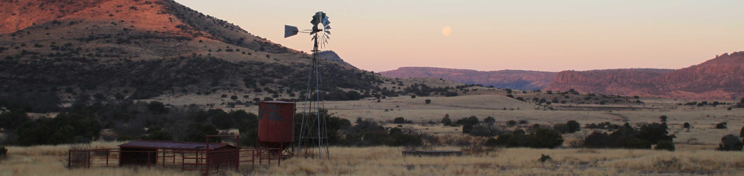 2011 Hunting Pictures