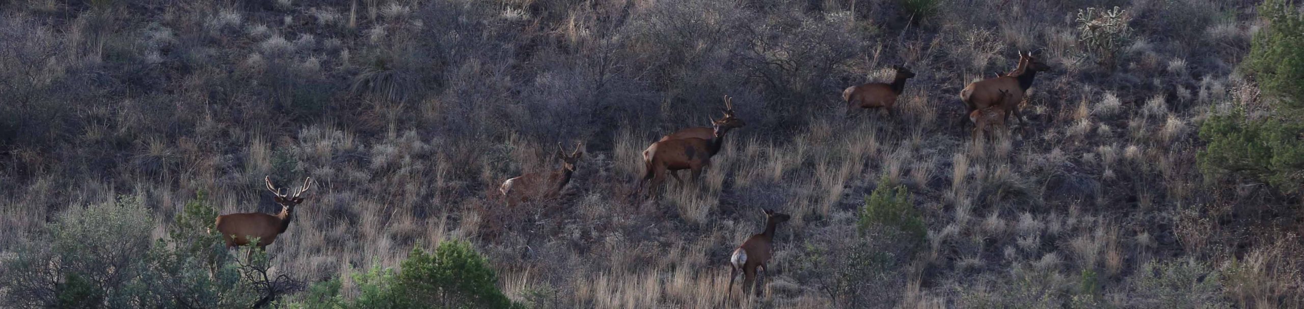 2014 Hunting Pictures