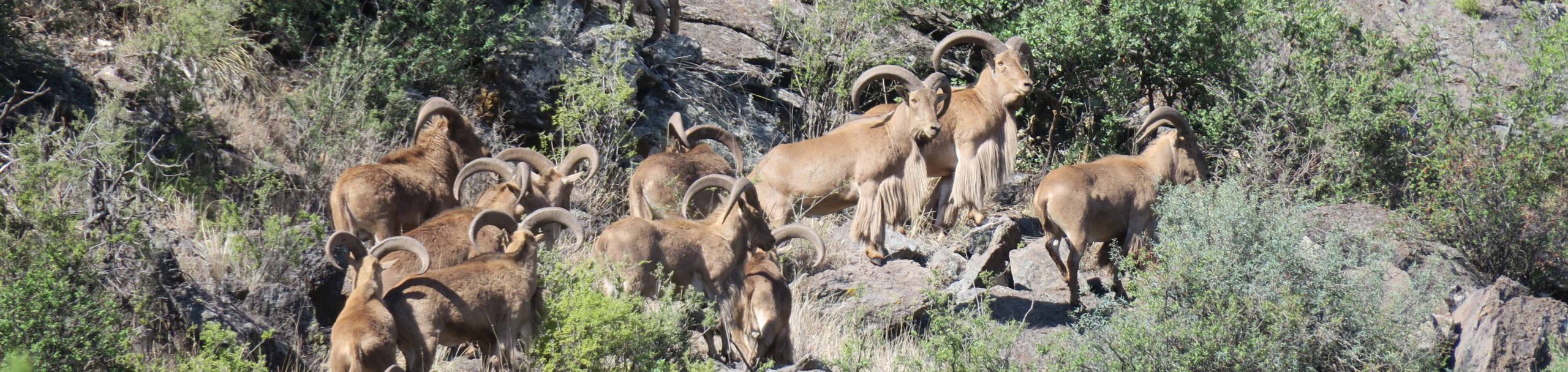 2021 Hunting Pictures